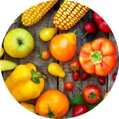 Ik ben vegetariër. Welke kazen zijn niet geschikt voor vegetariërs?